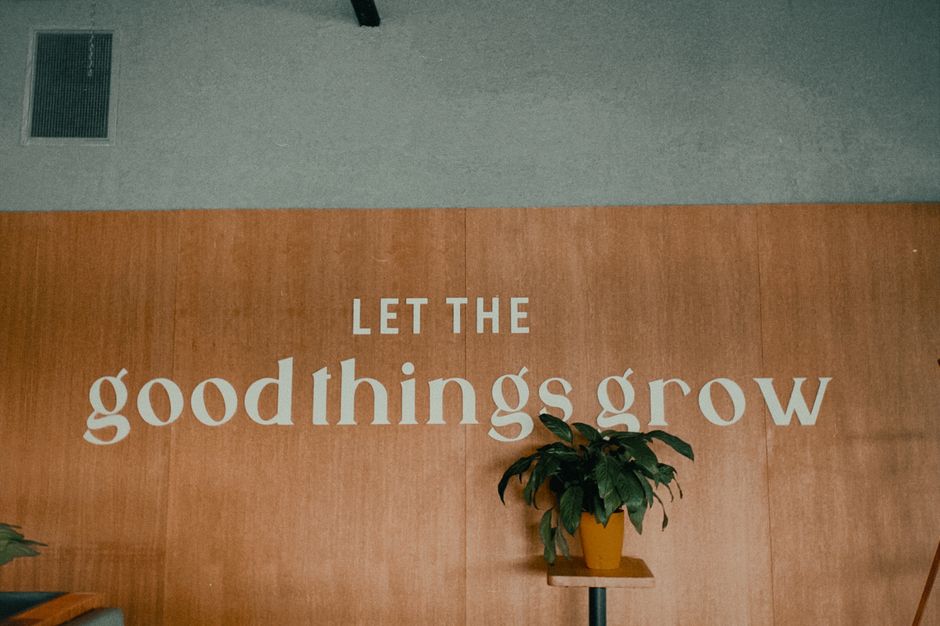 Ottawa's Growcer Is Thriving While the Indoor Farming Sector Shrinks