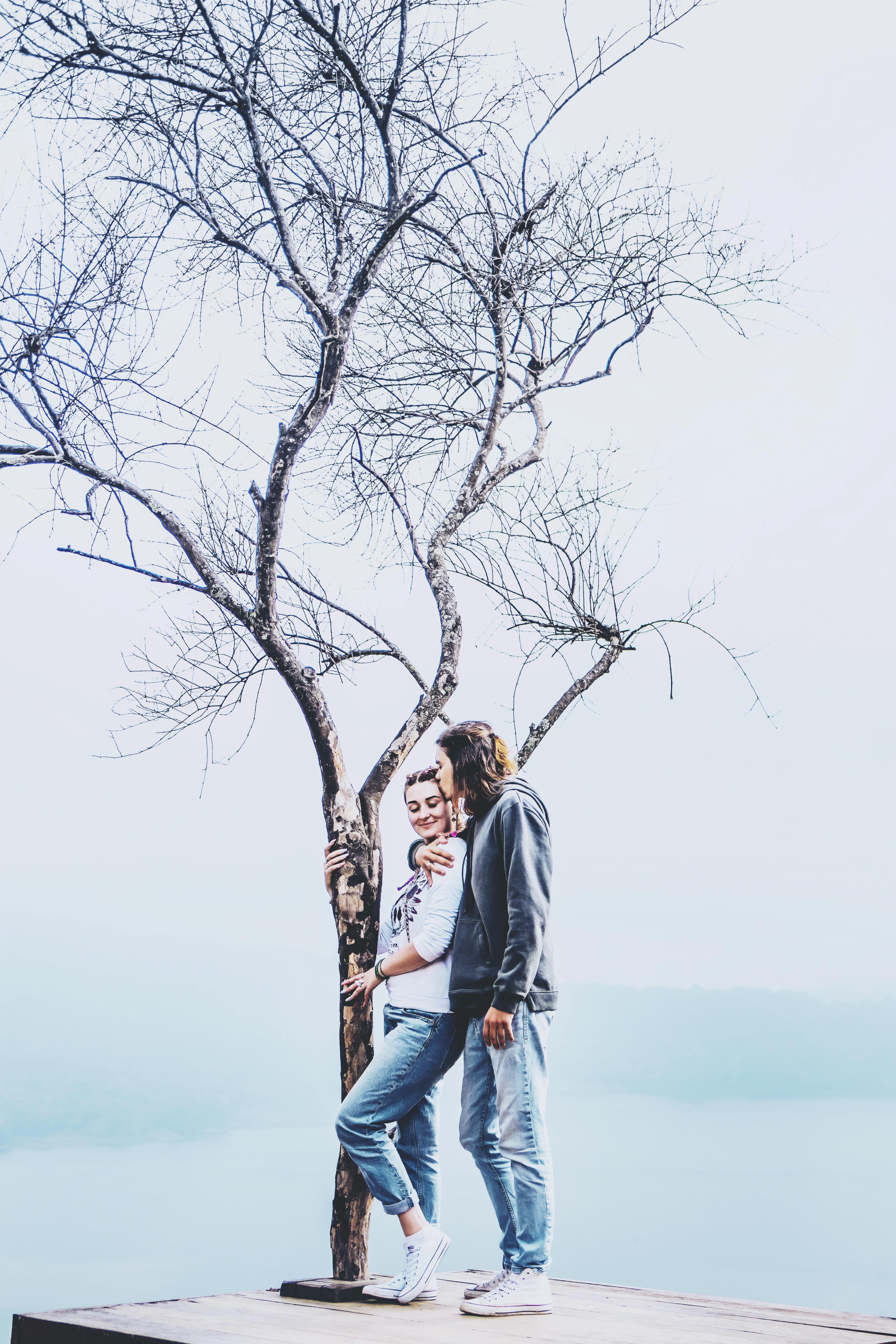 1000+ Amazing Tree Hugging Photos · Pexels · Free Stock Photos