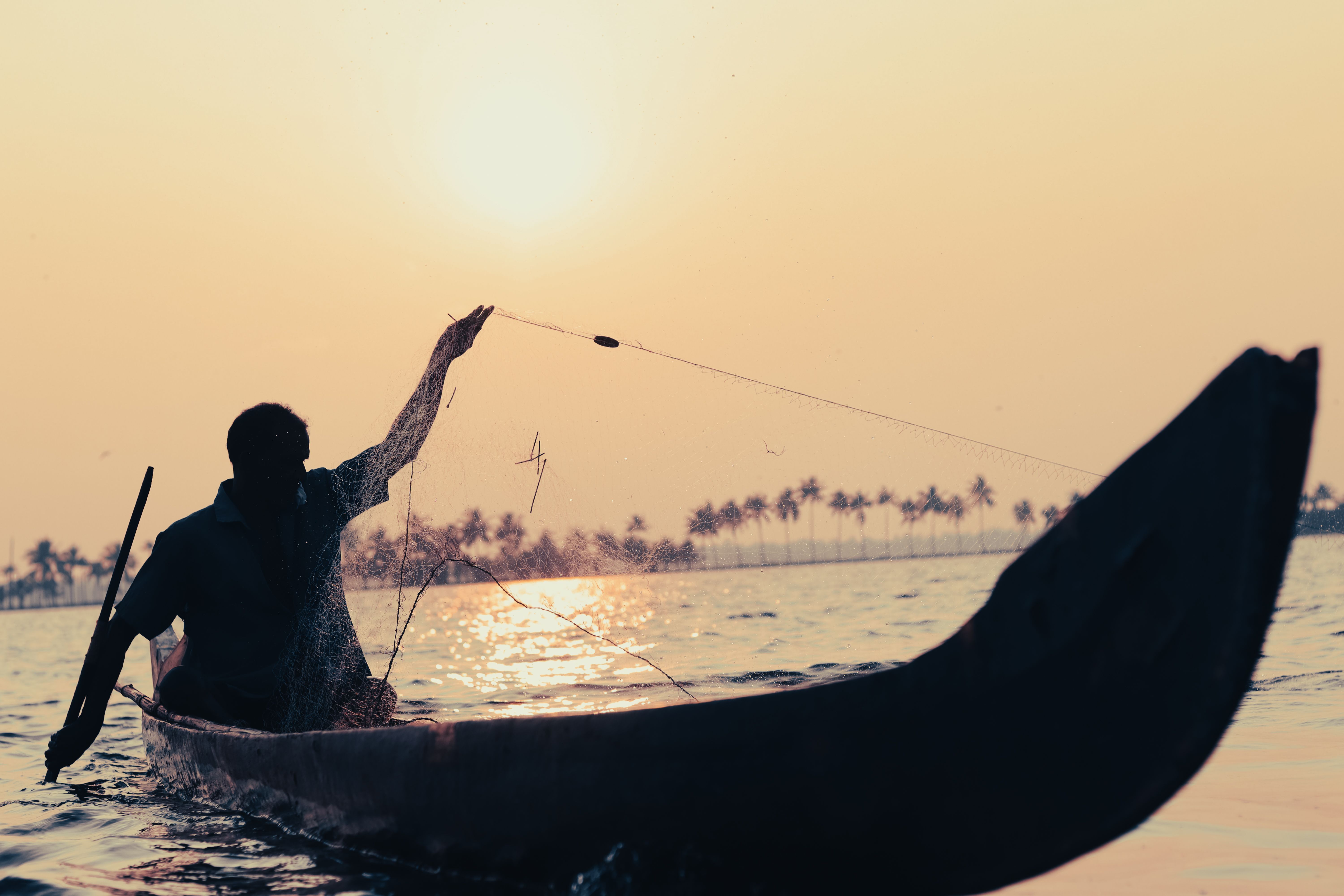 Kerala Backwaters Houseboat Package Guide 2026