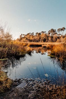 Tranquil autumn scene with a reflective lake surrounded by vibrant foliage.