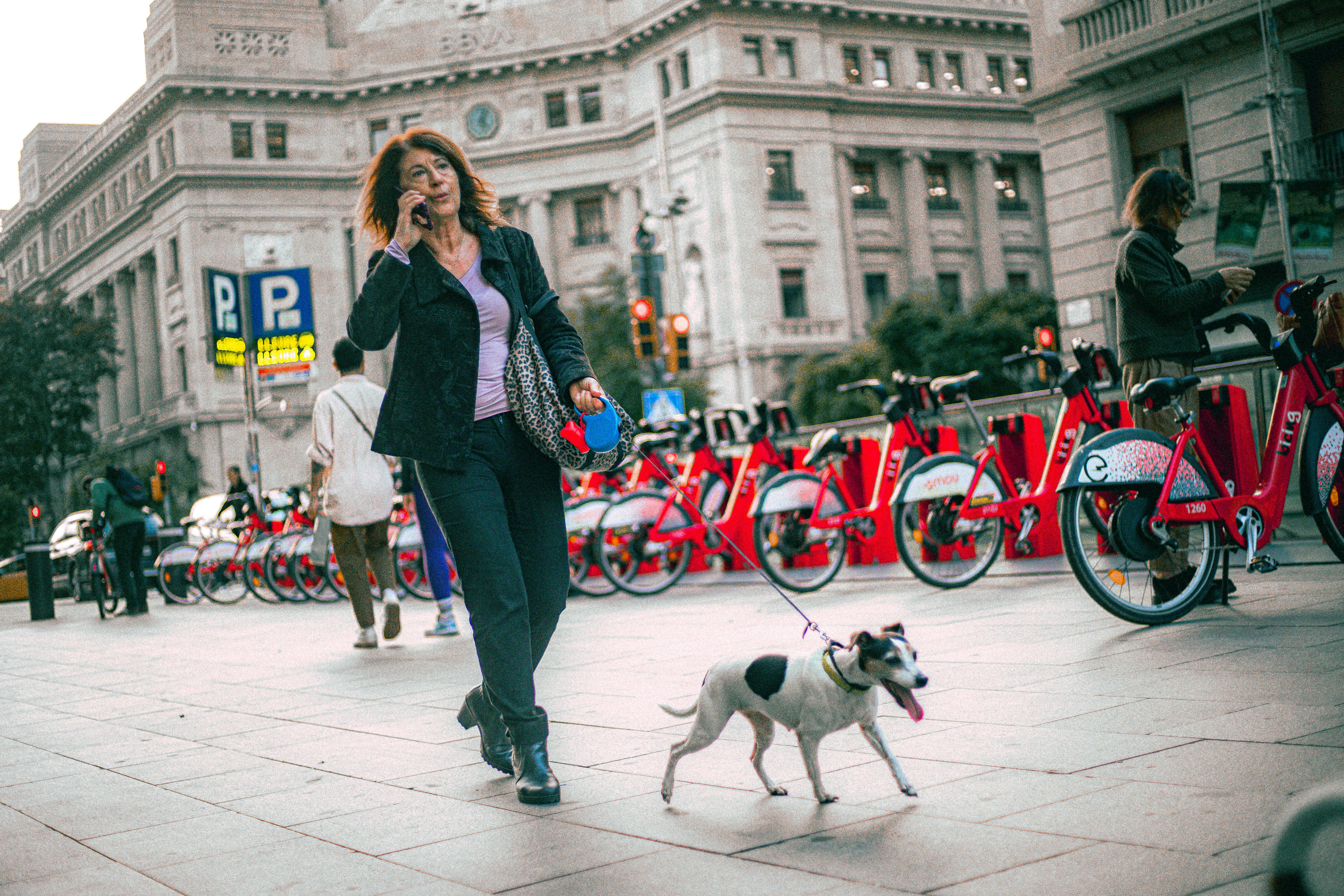 person walking their dog on a clean, vibrant downtown Chicago street - dog friendly apartments downtown chicago
