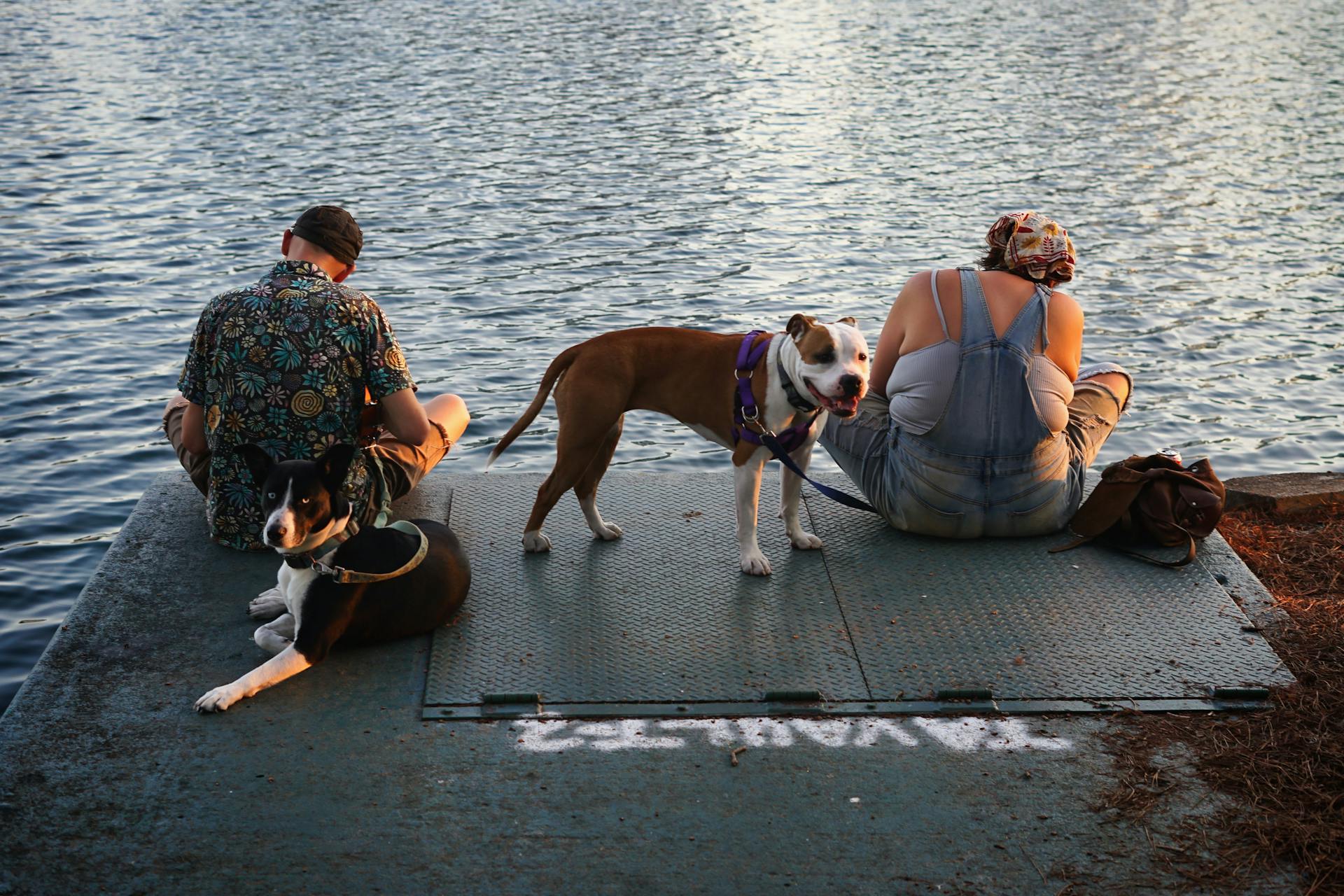 Two adults with dogs enjoying a peaceful moment by the water during sunset.