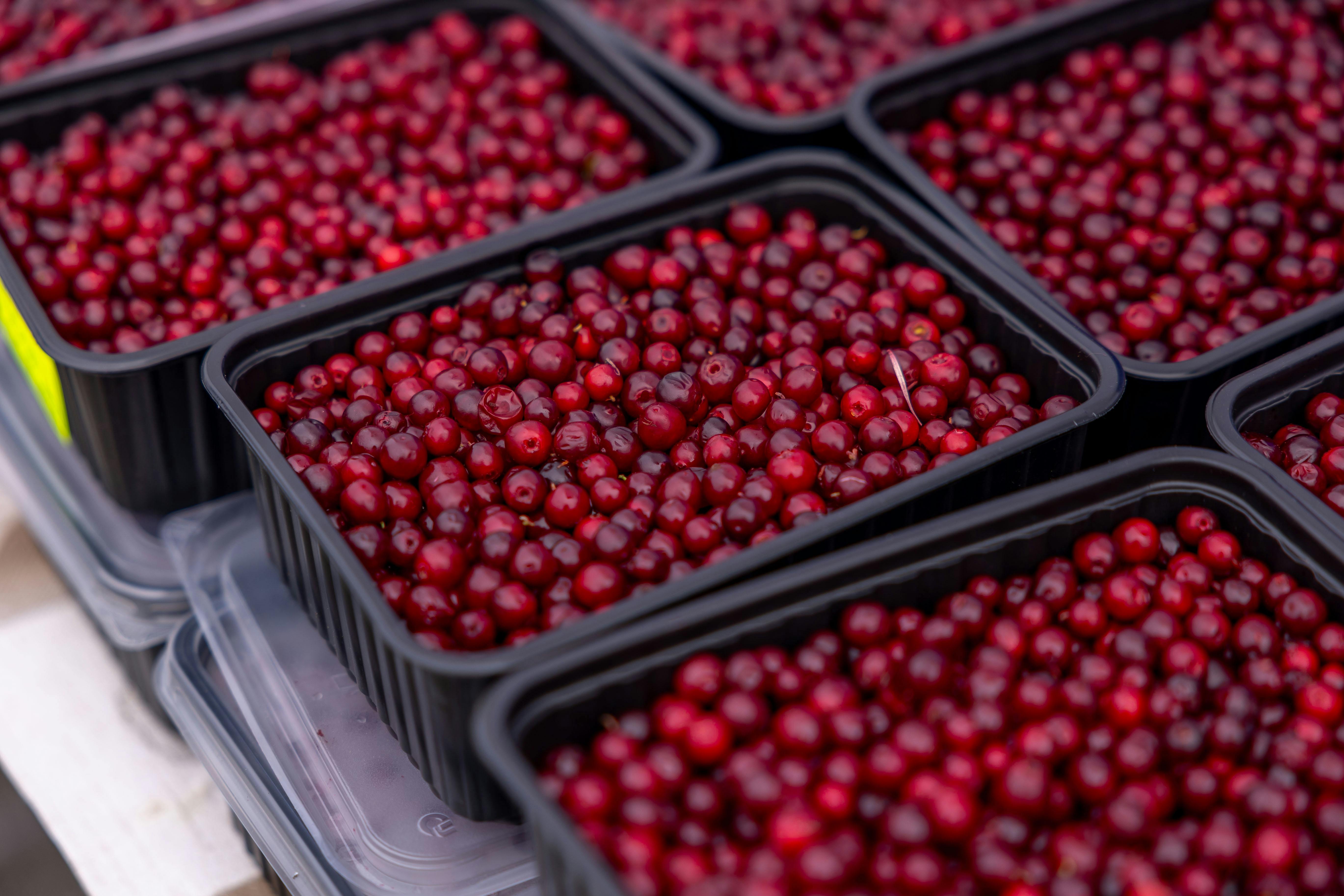 Frutas vermelhas em potes plásticos expostos em banca de mercado