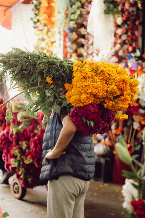 Free Man carrying colorful cempasuchil and flowers at a bustling market in Mexico City. Stock Photo