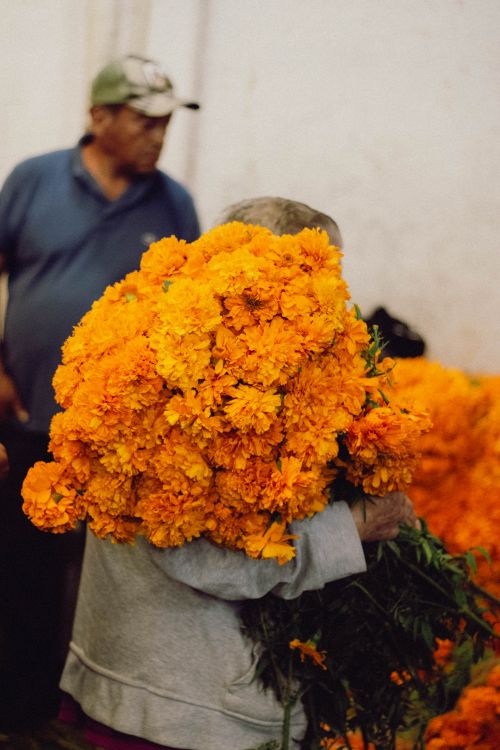 Free A person carrying vibrant marigolds during a market day in Mexico City, highlighting traditional culture. Stock Photo