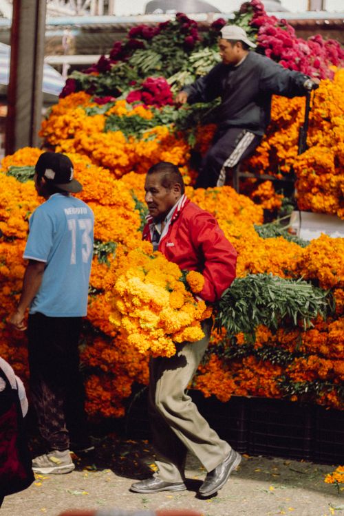 Free Colorful display of marigolds at a bustling flower market in Ciudad de México. Stock Photo