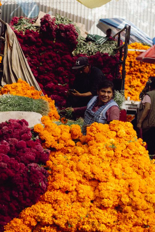 Free A bustling flower market in Mexico City showcasing vibrant marigolds and other blooms. Stock Photo