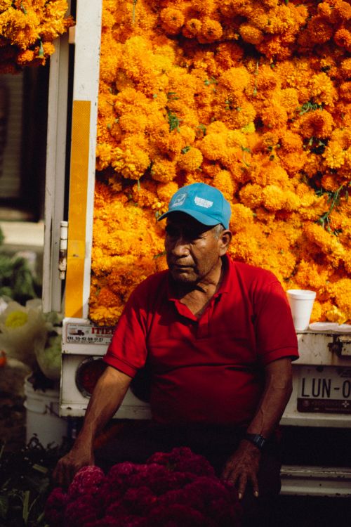 Free An elderly man sits by a truck adorned with vibrant cempasuchil flowers in Mexico City. Stock Photo