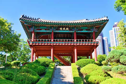 Walking Tour in Daegu