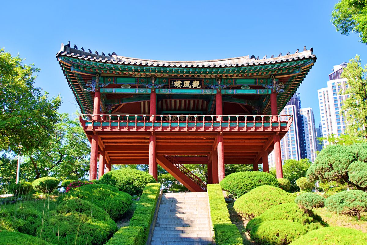 Smell History at Yangnyeongsi Herbal Medicine Market