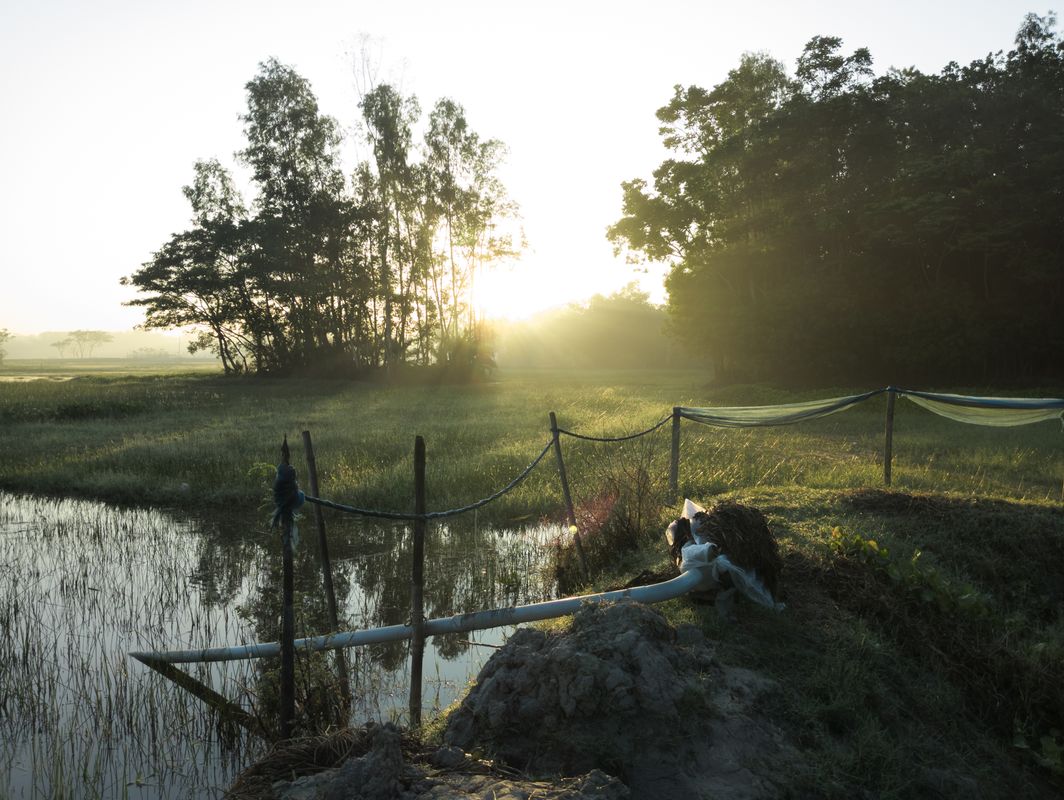 Sunrise over a quiet meadow - How to Please God, part 1