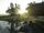sunrise landscape