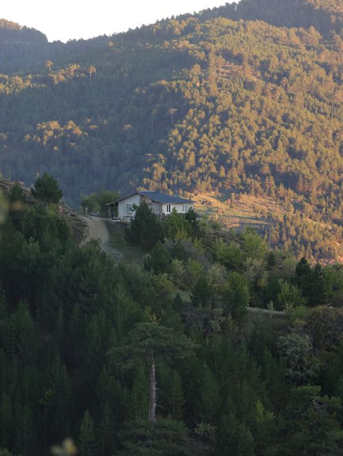 Free Charming lodge nestled in the lush forests of Türkiye, surrounded by serene natural beauty. Stock Photo