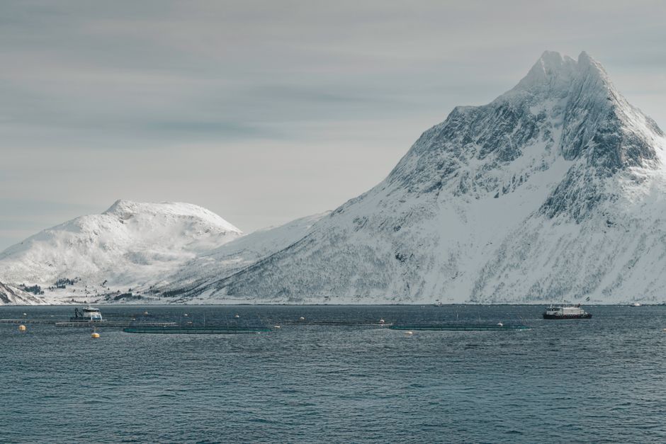A serene landscape of snow-covered mountains and calm arctic ocean waters.