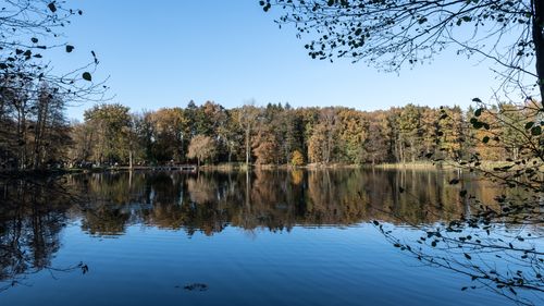 Free Peaceful autumn scenery with tree reflections in a lake at Hollenstedt, Germany. Stock Photo
