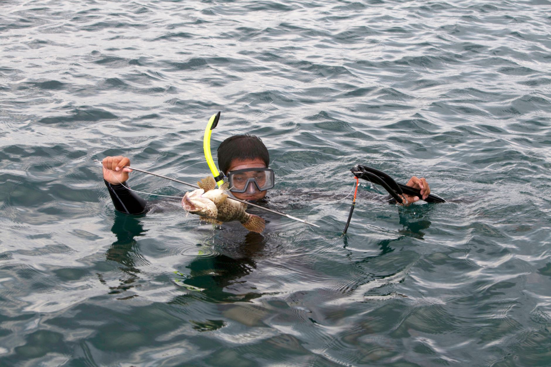 Best Spearfishing Gear for Beginners 2026