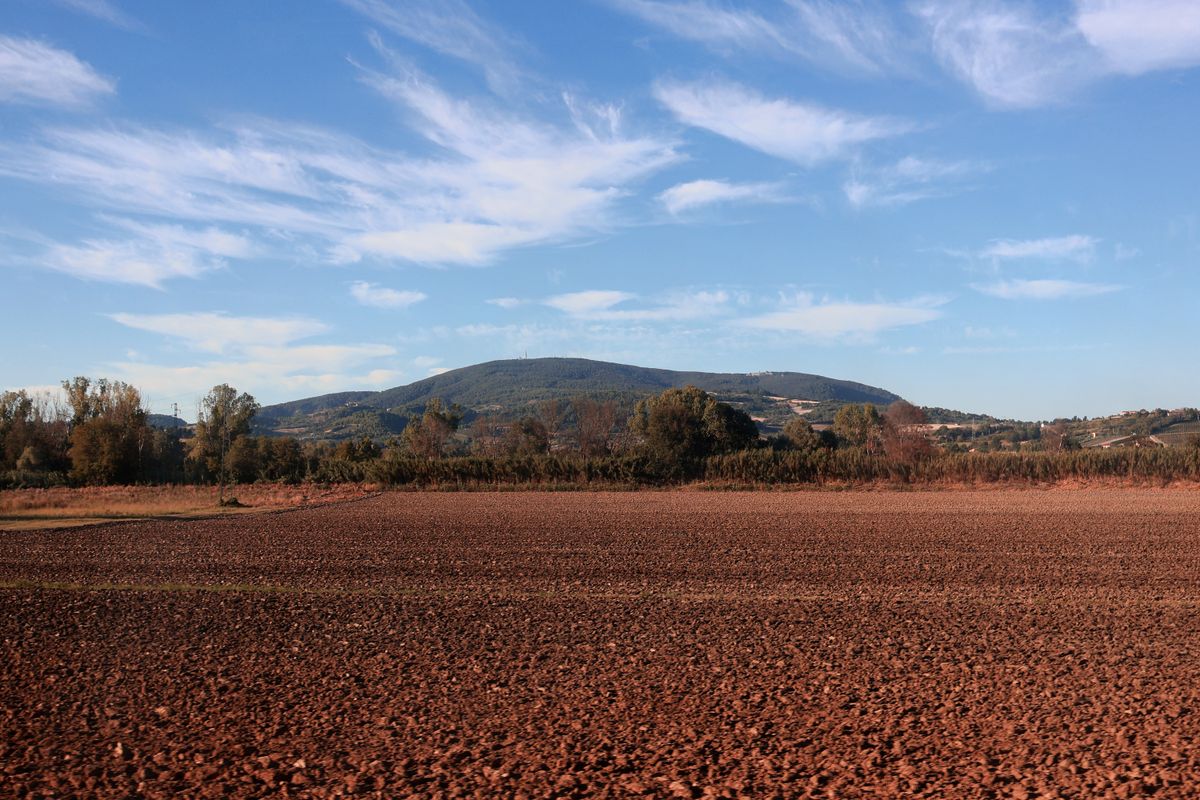 Masías en Manlleu