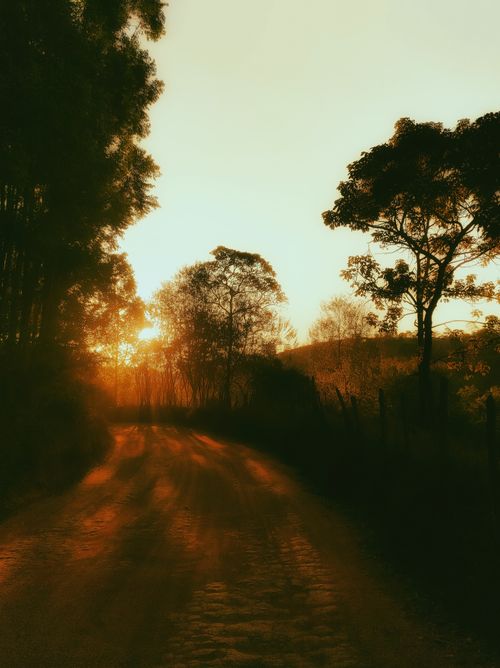 Free Captivating sunset view along a rural road in Minas Gerais, Brazil. Ideal for adventure travel. Stock Photo