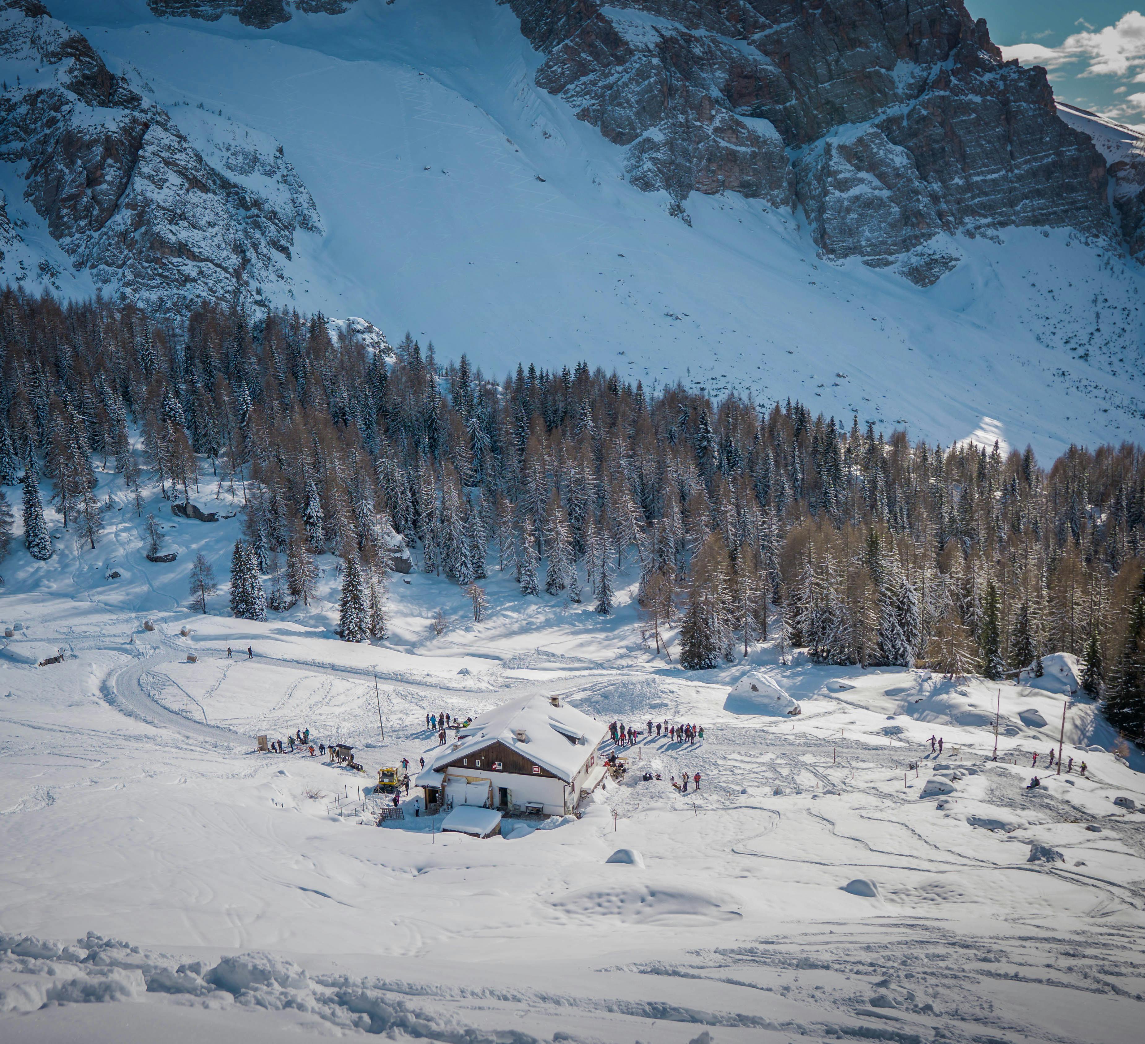 A picturesque snowy mountain cabin nestled in a winter forest, surrounded by majestic peaks.