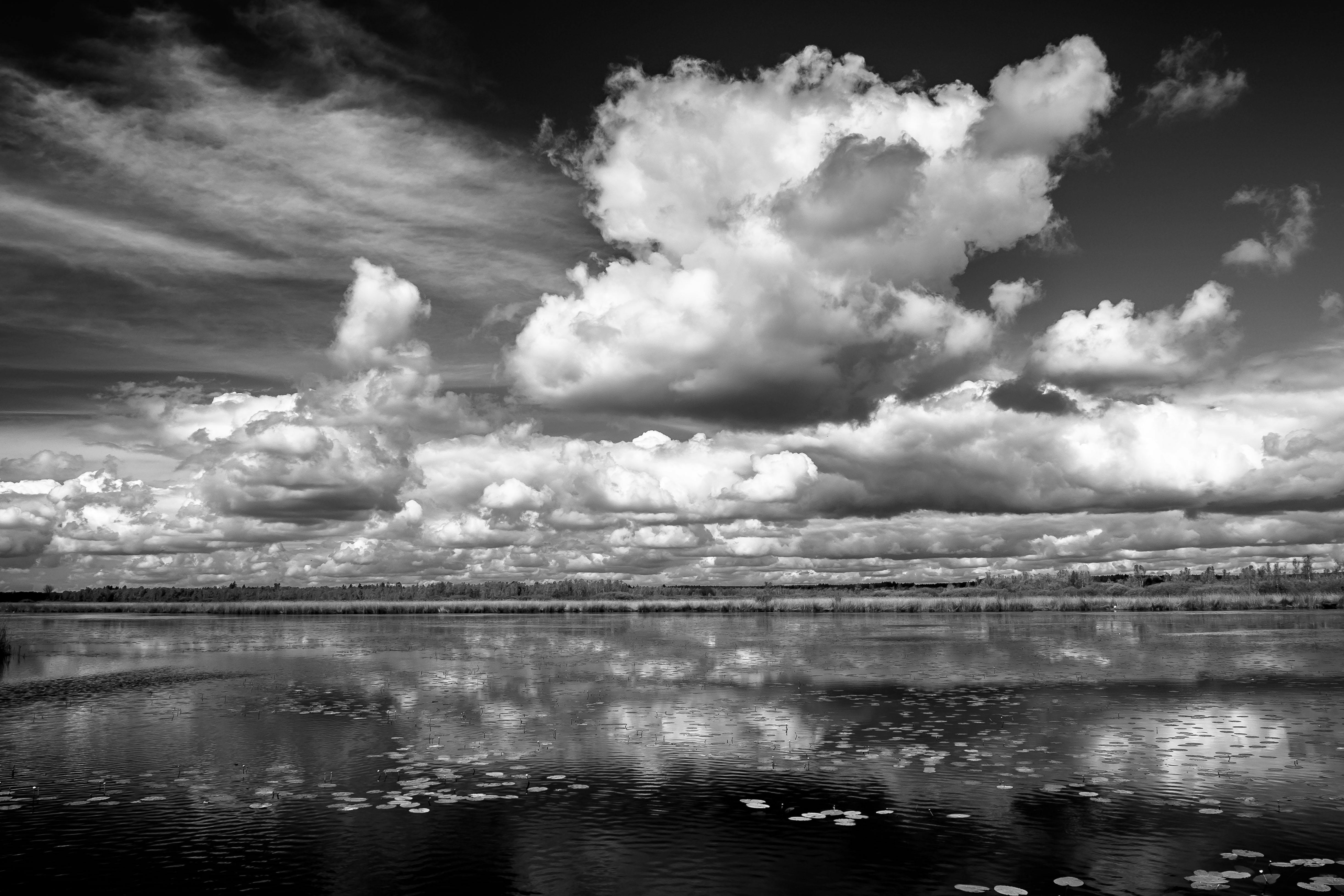 Grayscale Photography of Clouds · Free Stock Photo