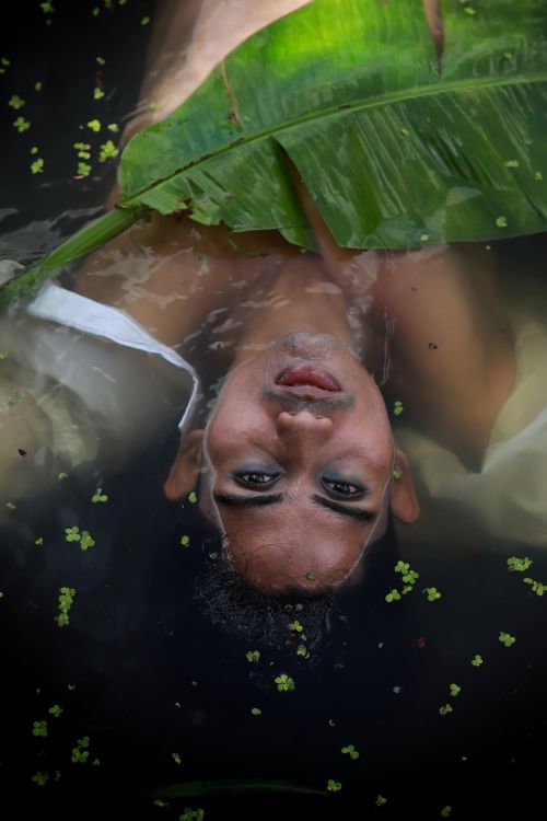 Free Unique portrait of a person submerged in water with natural elements, creating a serene and artistic composition. Stock Photo