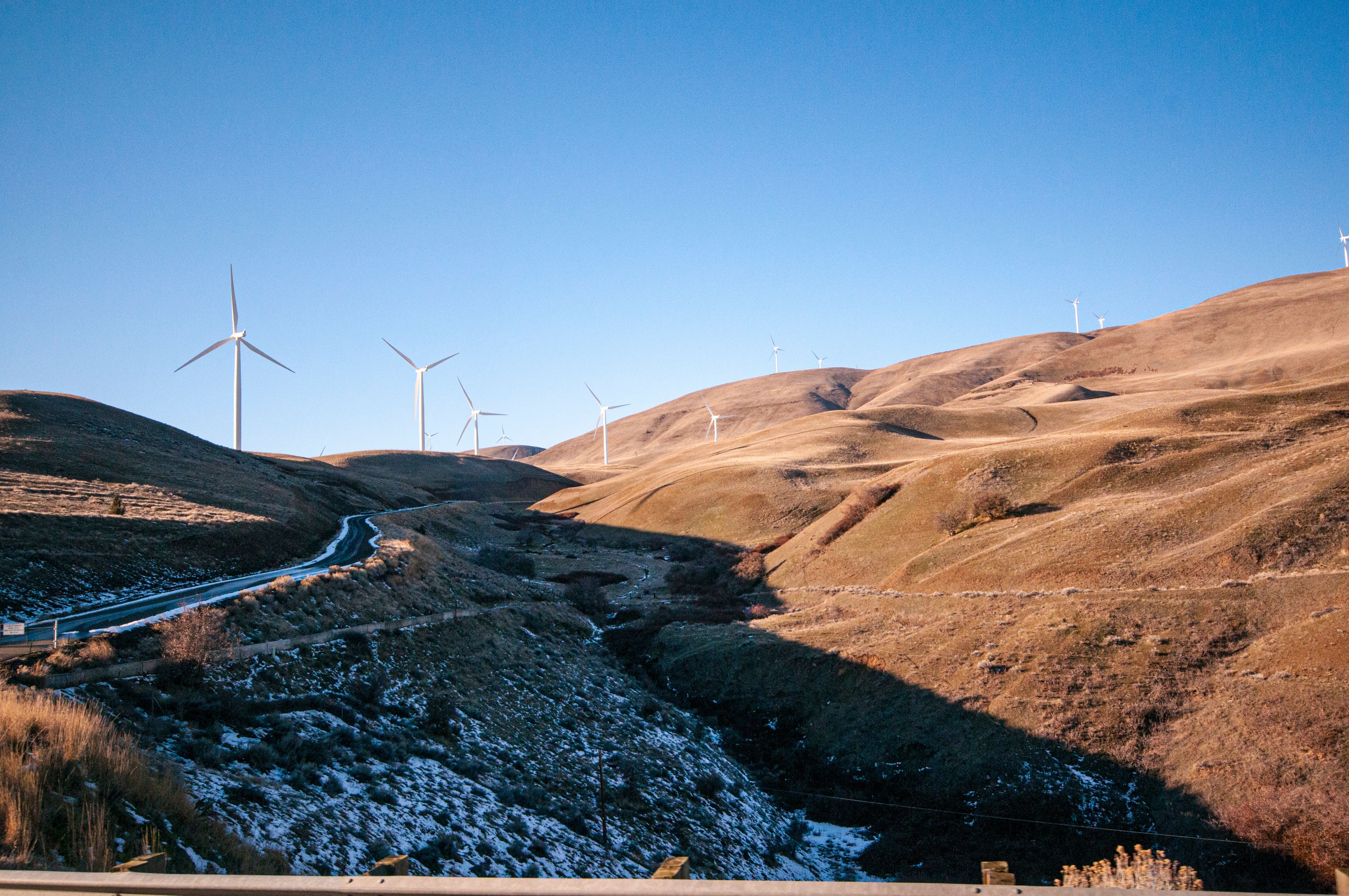 5 Strategic Considerations for Renewable Energy and Sustainable Land Management — Photo by dumitru B on Pexels