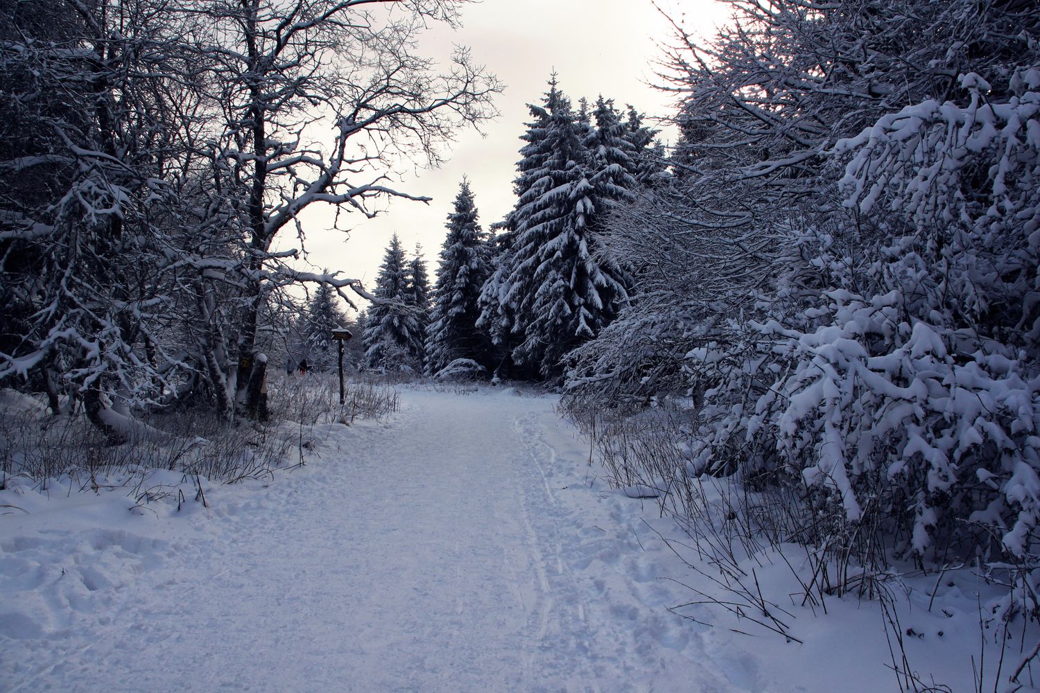 Snow Way Photos, Download The BEST Free Snow Way Stock Photos & HD Images