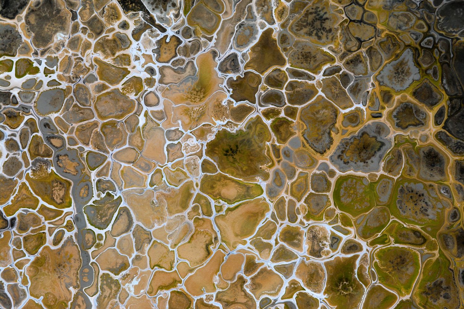 Terrain Map Photos, Download The BEST Free Terrain Map Stock Photos ...