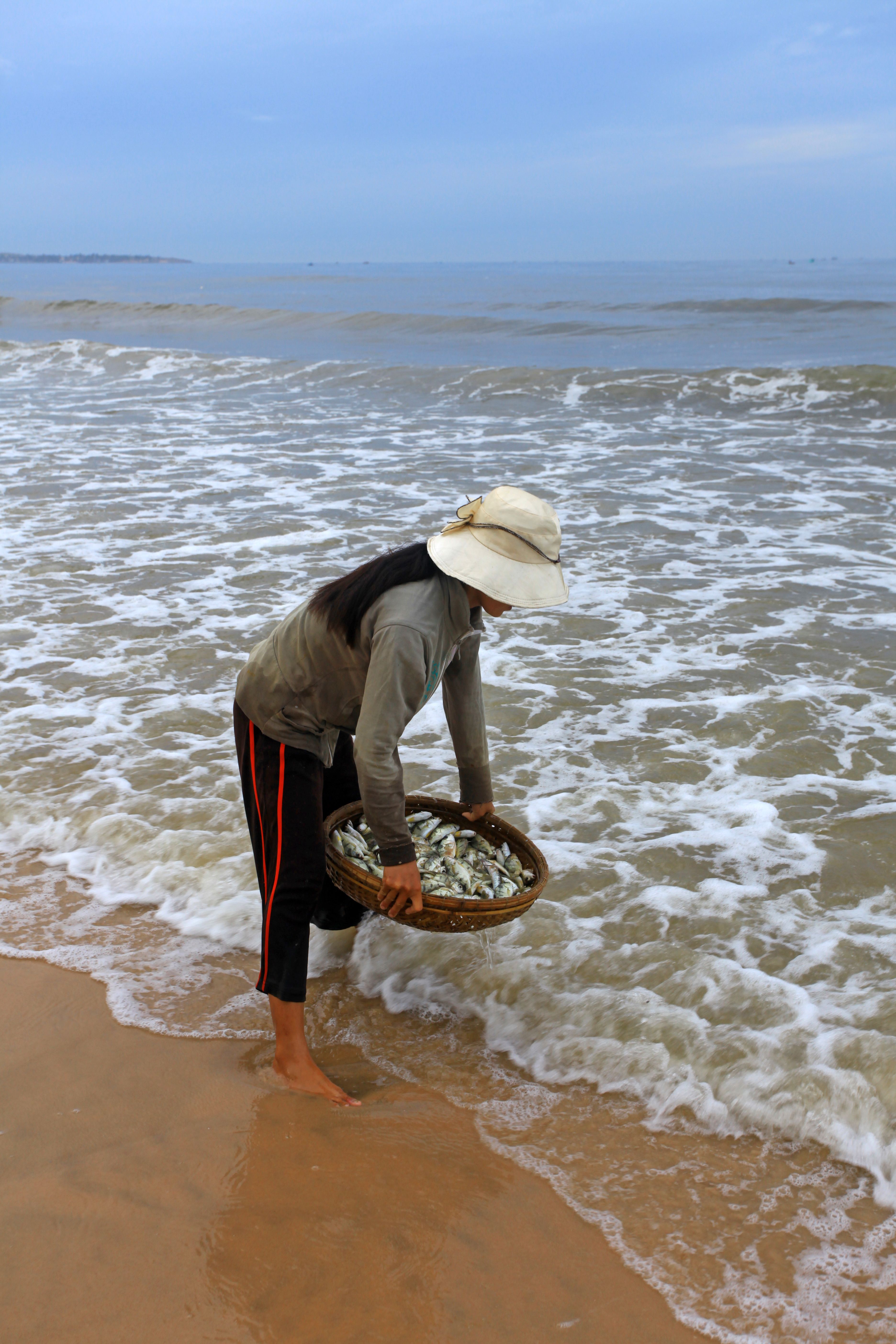 Woman on beach collecting fresh fish in a basket, showcasing coastal livelihood.