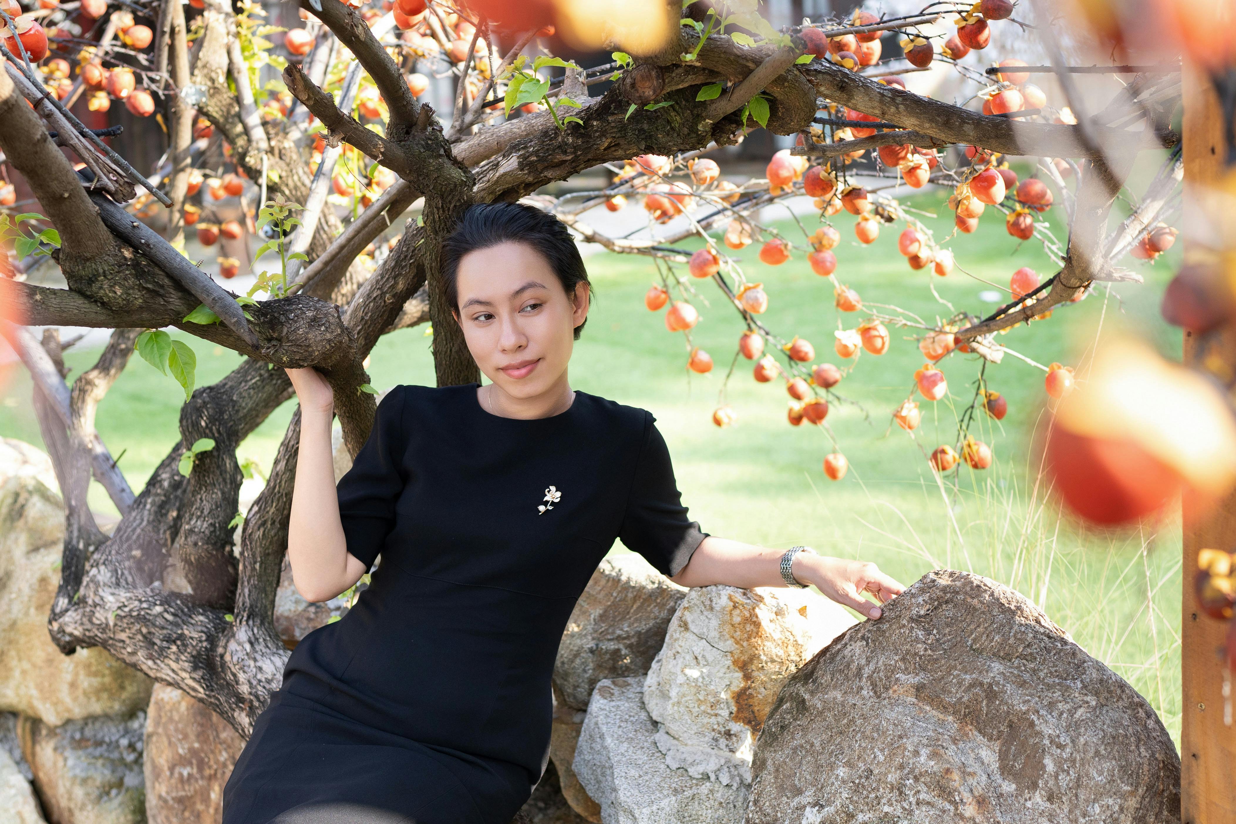 Etiología, Prevención y Manejo Integrado de la Gomosis en Frutales de Hueso