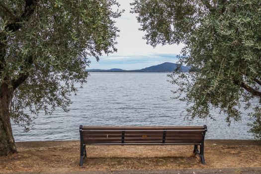 A peaceful lakeside view with a bench and trees framing Lake Iseo, Italy.