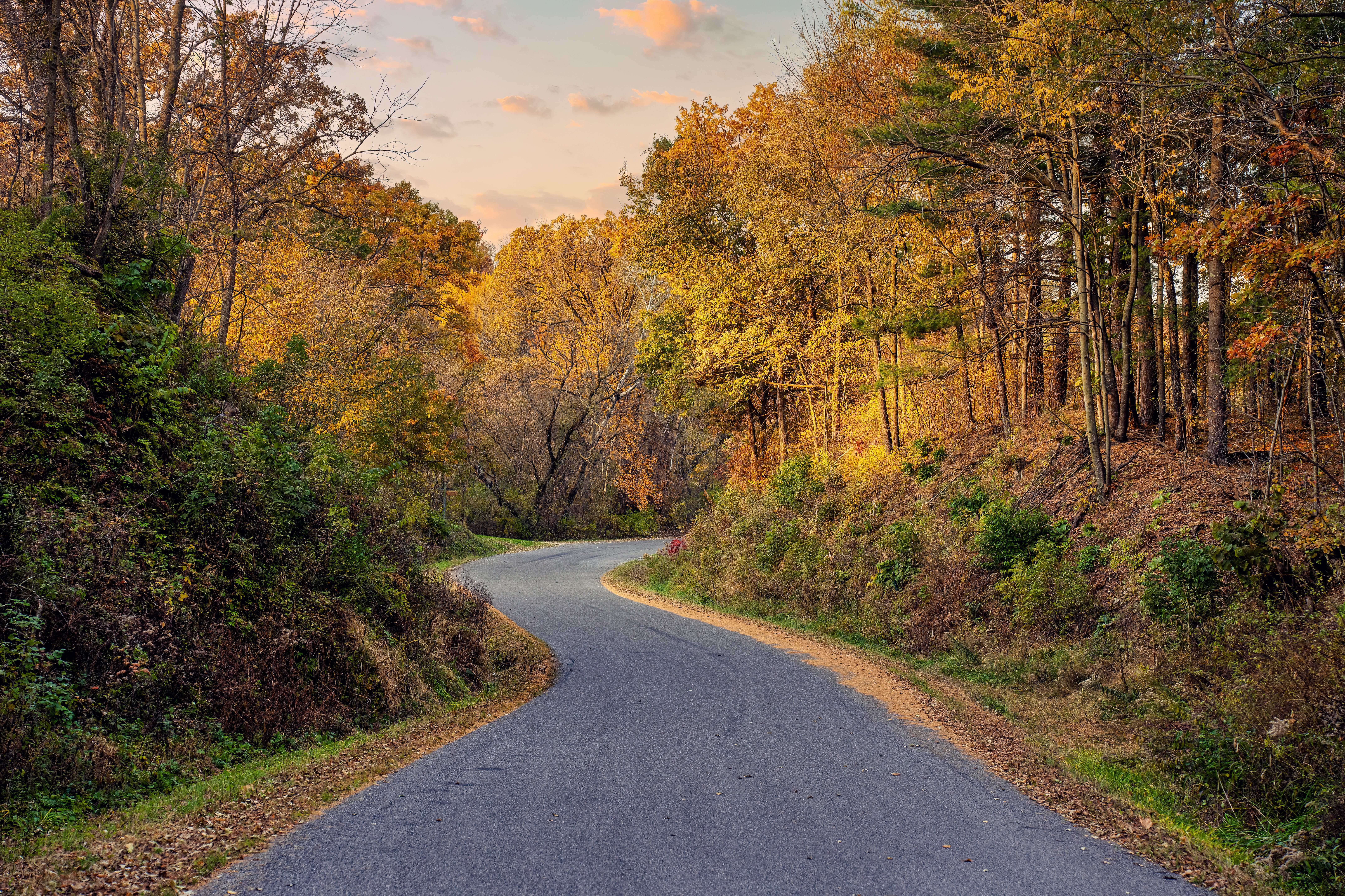 Scenic Autumn Road in Wisconsin Countryside · Free Stock Photo