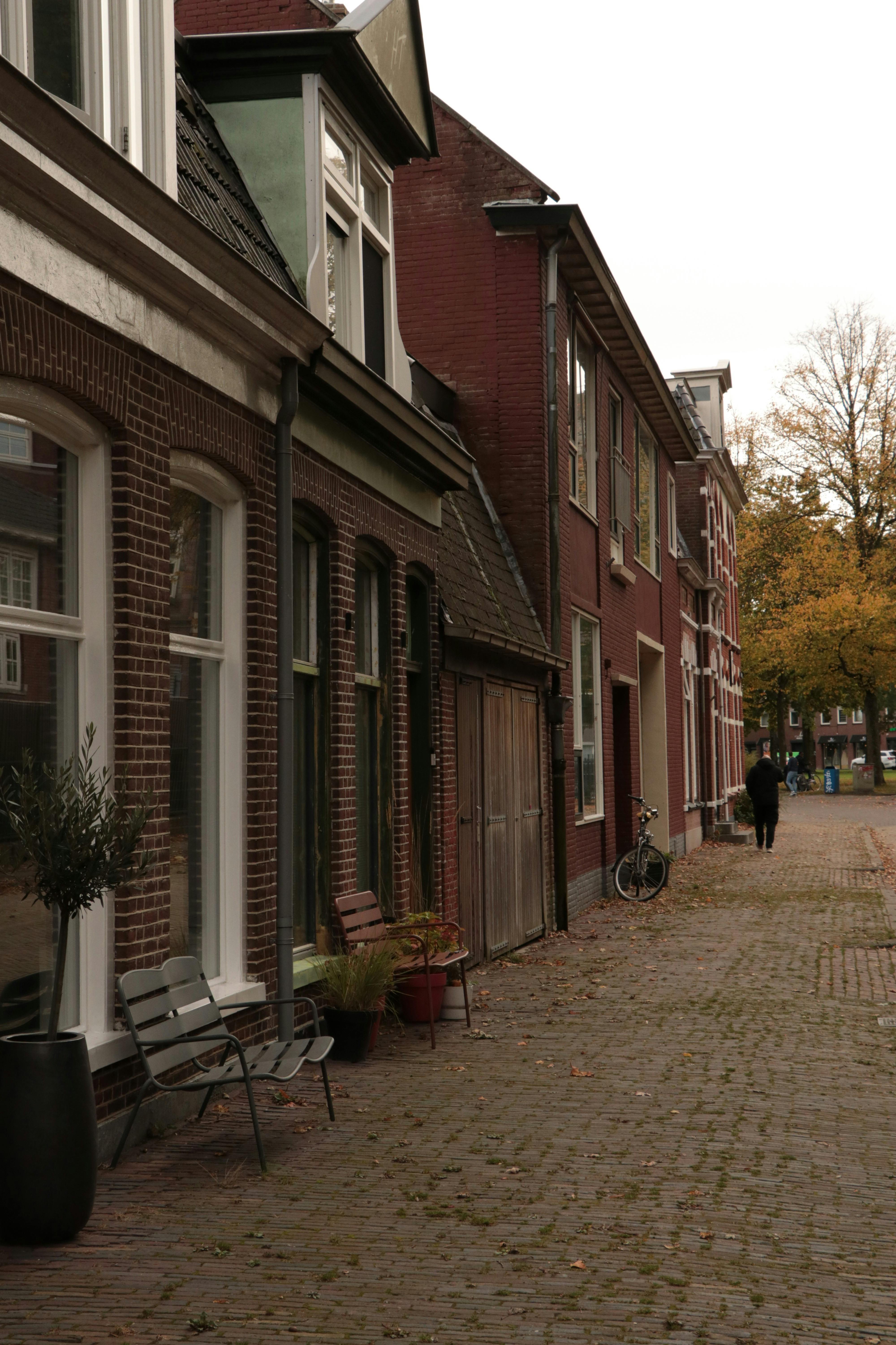 charming street in leeuwarden autumn scene