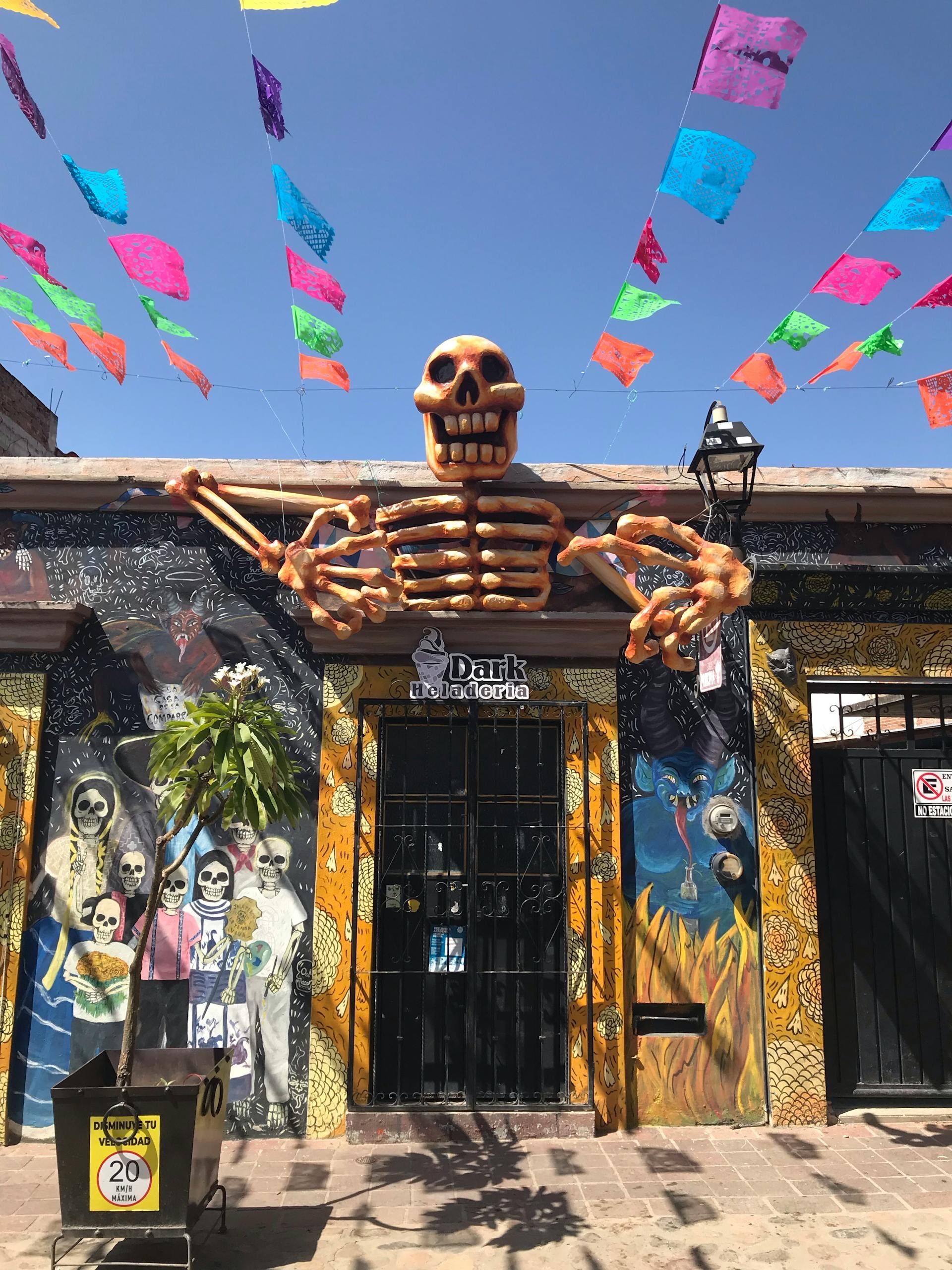 Festive Skeleton Decor in Colorful Town Street · Free Stock Photo