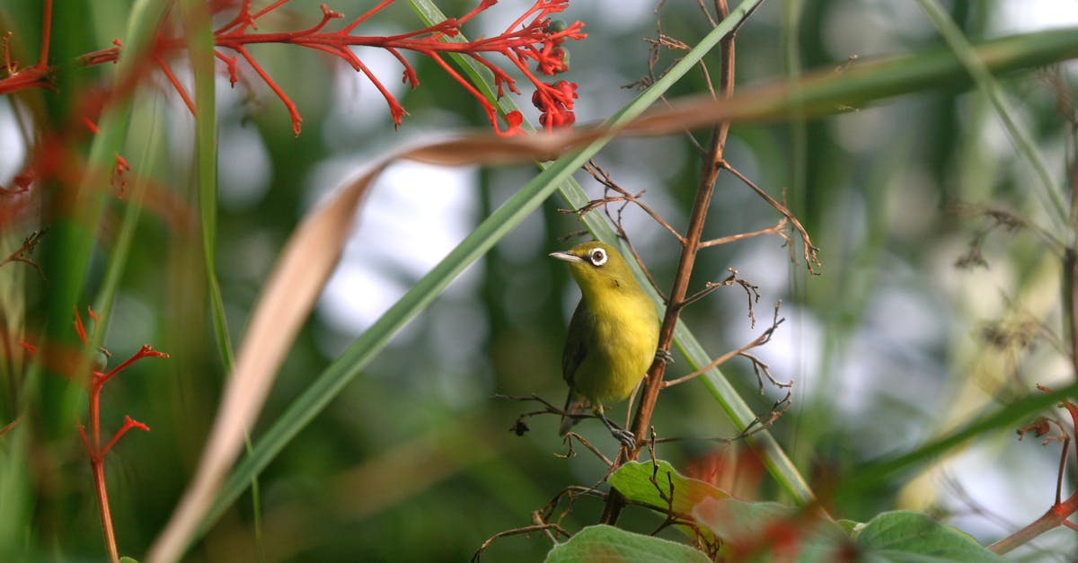 Project Eden 1 image text