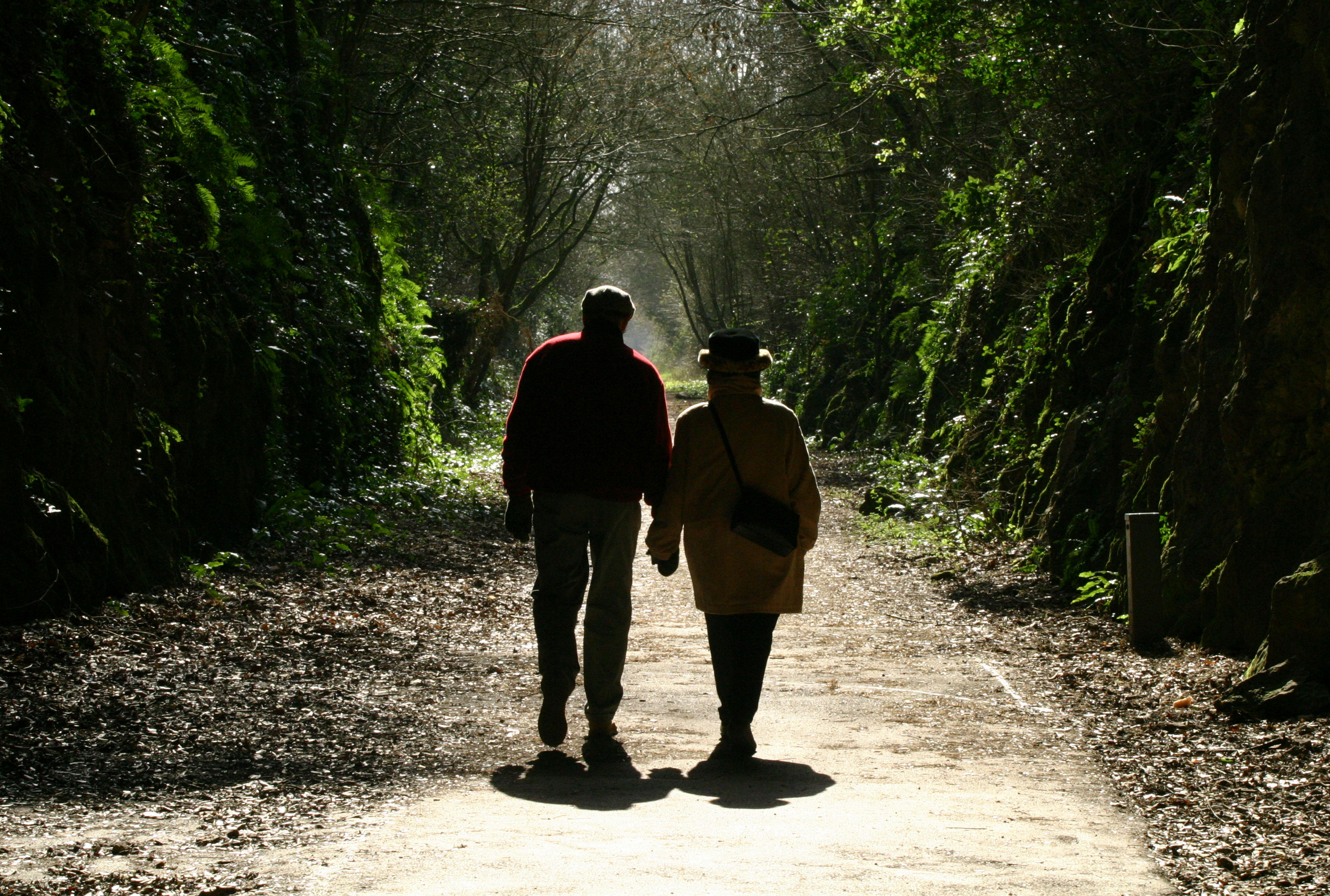 The Ultimate Guide to Bristol's Sunday Lunch: 8 Family-Friendly Venues with a Twist