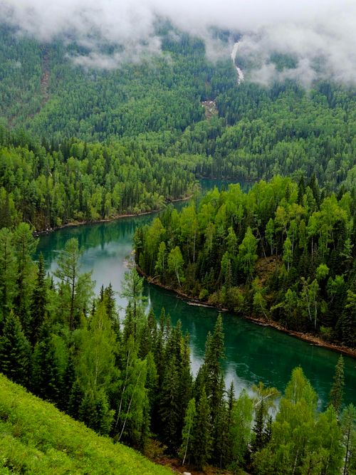 Free Aerial view of a lush green forest surrounding a calm river on a misty day. Stock Photo