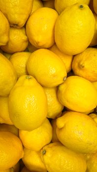 fresh yellow lemon fruit