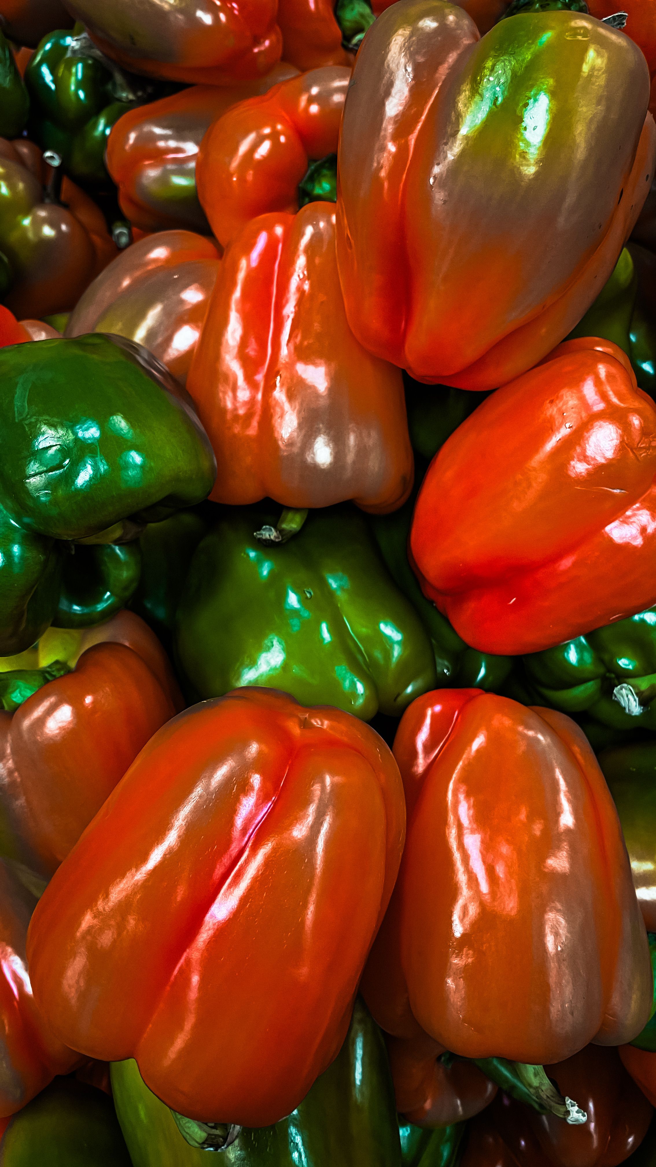 Vibrant Red and Green Bell Peppers Close-Up · Free Stock Photo