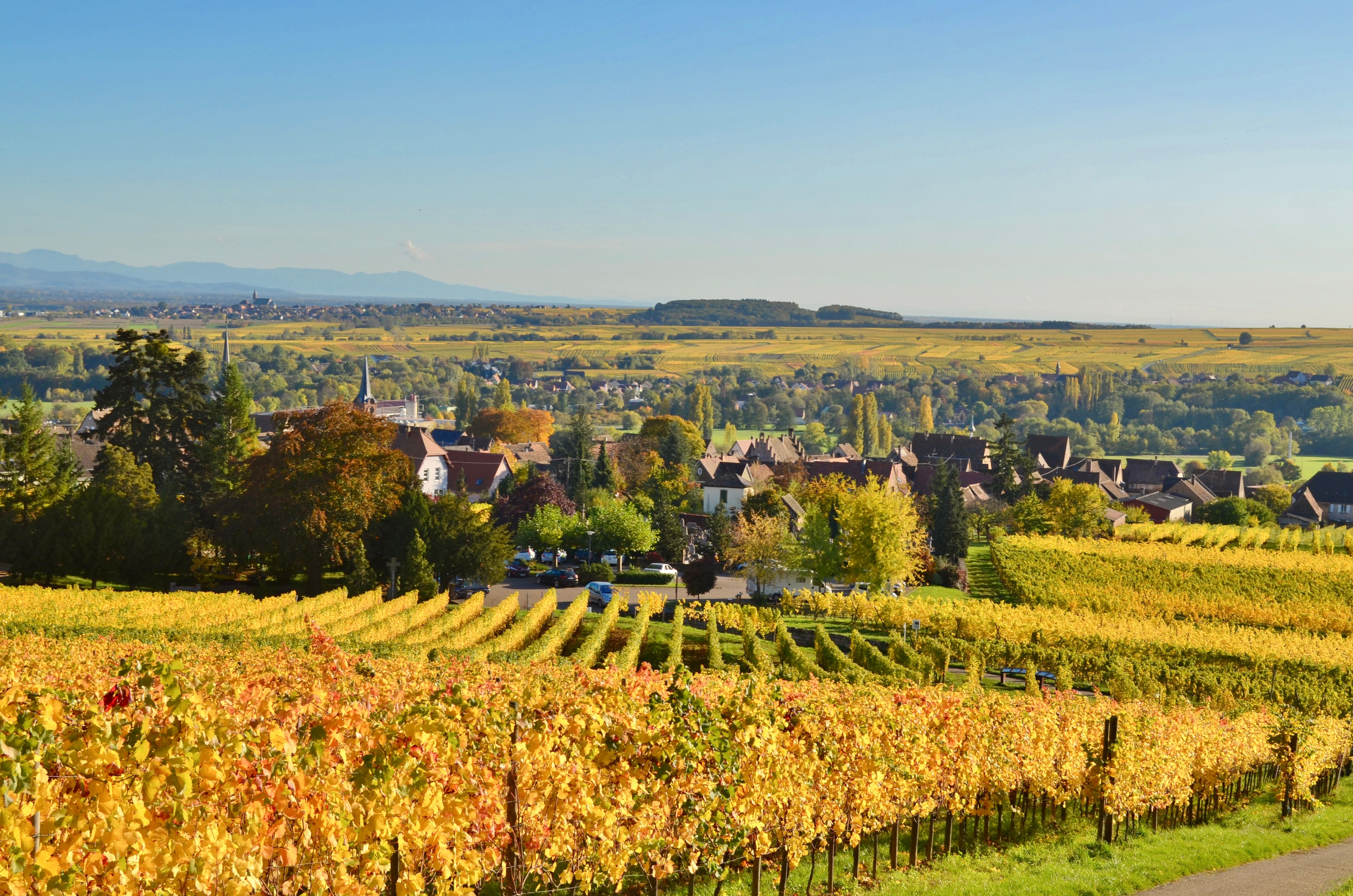 Montagne de Beaune — Bouze-lès-Beaune Panorama