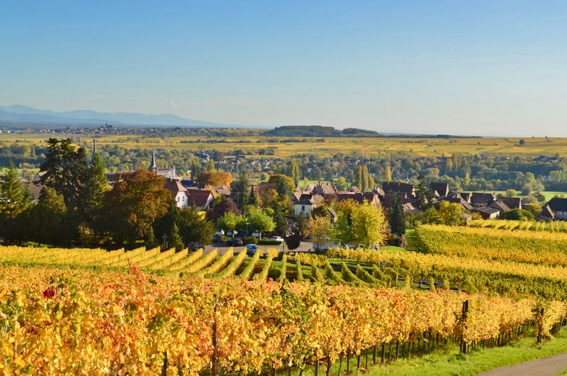 Alsace