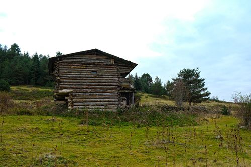 Free A vintage wooden cabin surrounded by wilderness in Bolu, Türkiye. Stock Photo