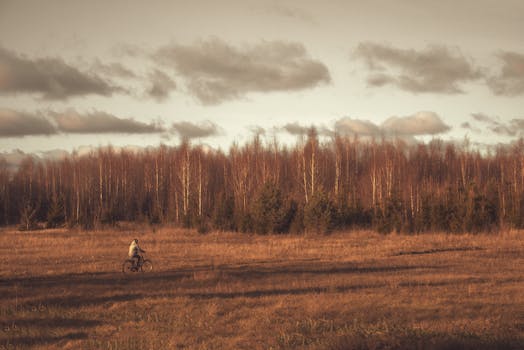 A lone cyclist rides through a scenic Estonian field in autumn, framed by vibrant trees and moody skies.