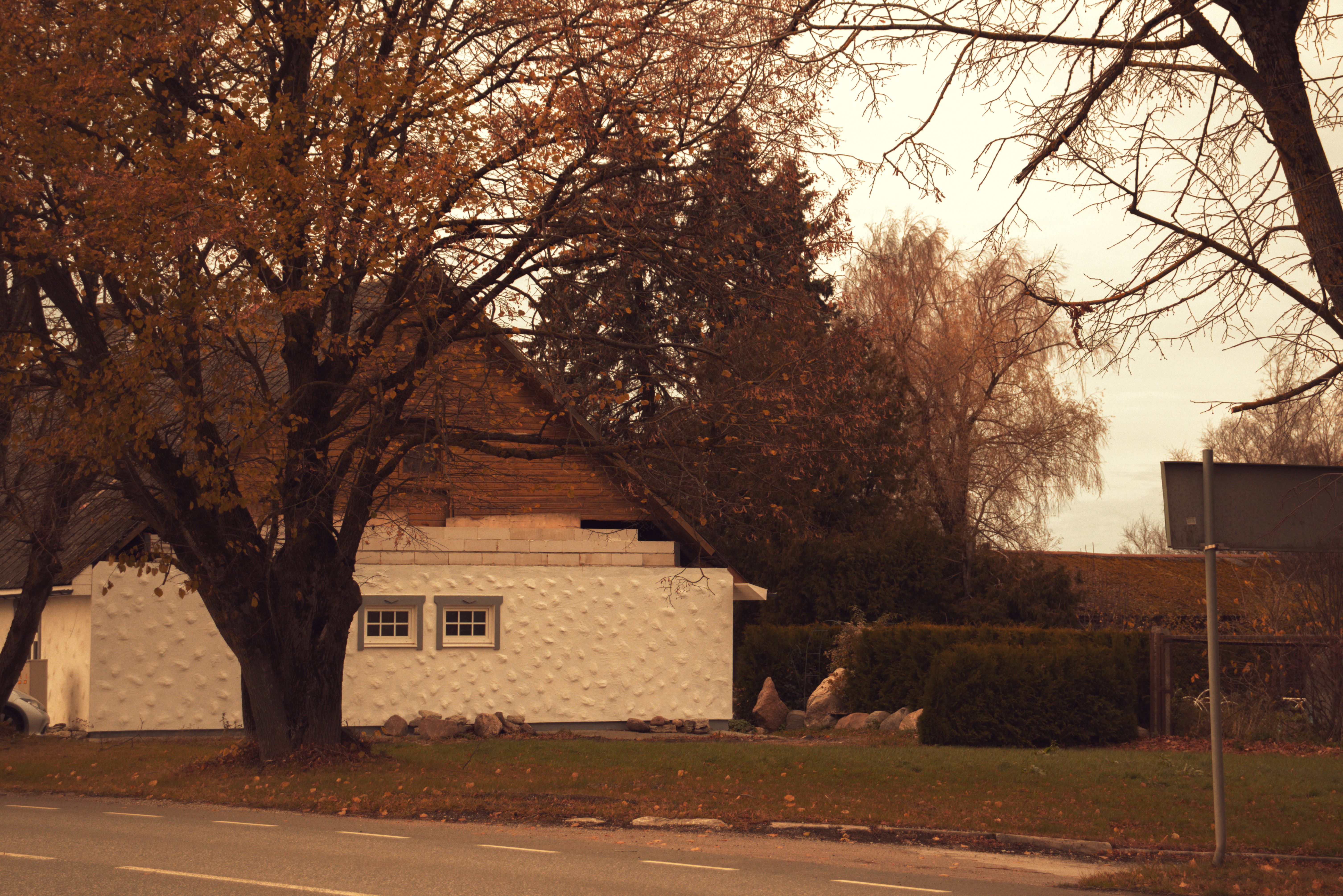 House Painting in Enfield — surfaces prepped and cut in by hand