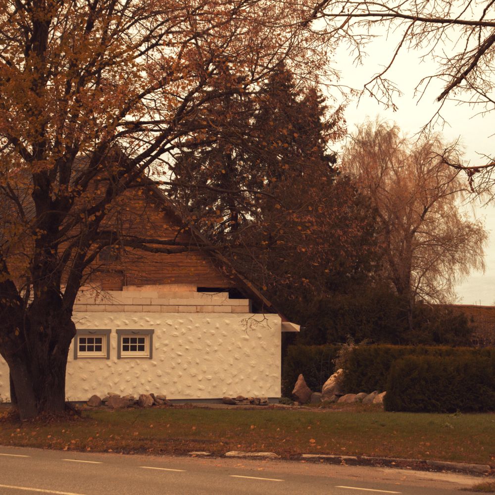 House Painting in Enfield — surfaces prepped and cut in by hand