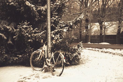 A bicycle stands against a snowy, frosty background in an Estonian winter scene, evoking solitude.