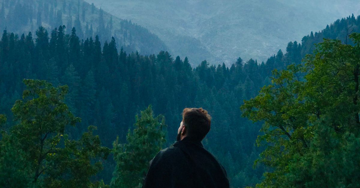 Man Overlooking Man Overlooking Forest · Free Stock Photo