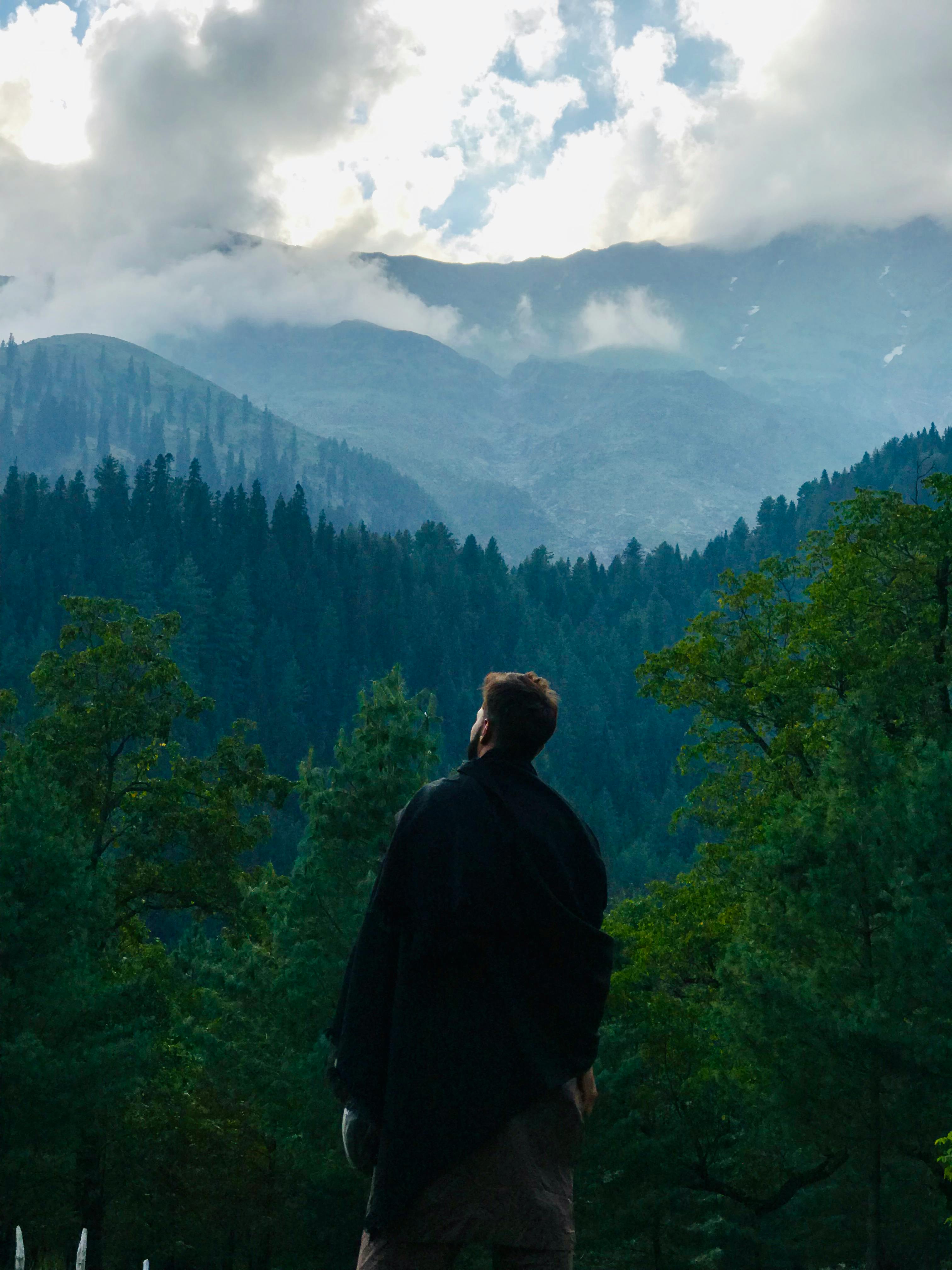Man Overlooking Forest · Free Stock Photo