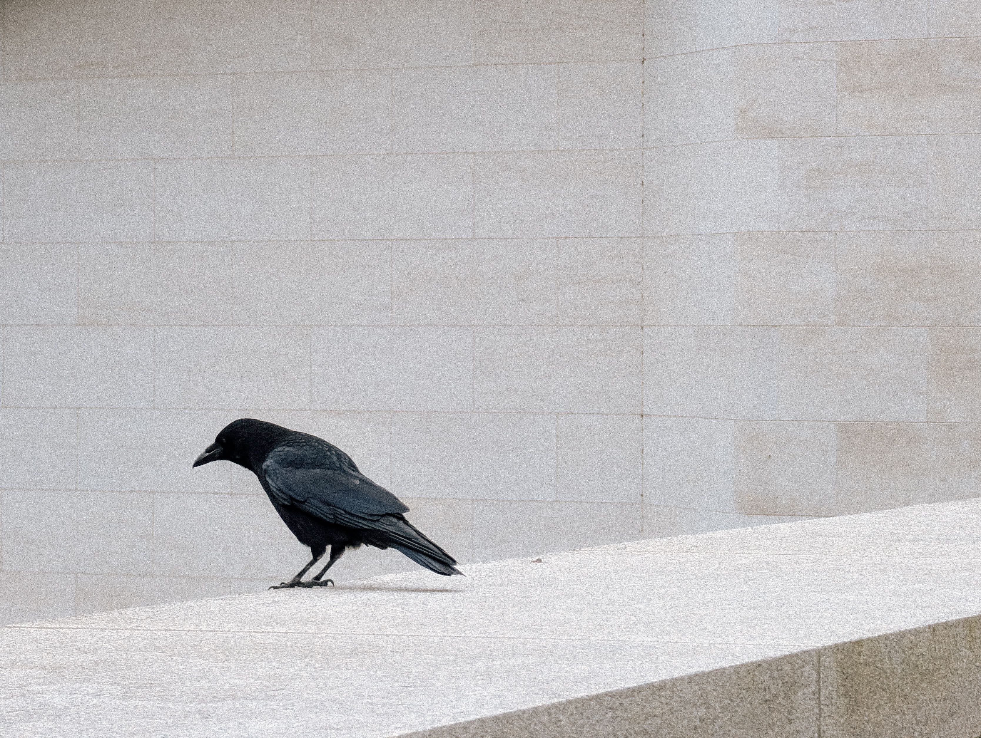 Modern Interpretations and Adaptations