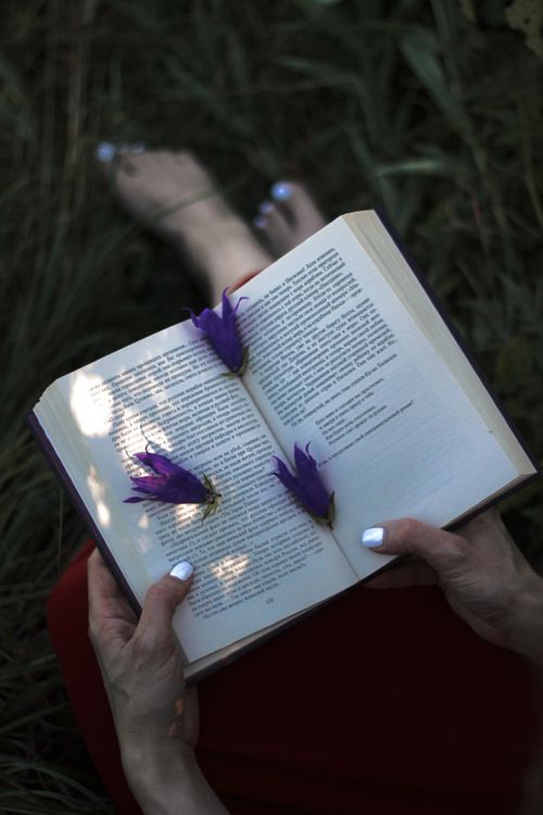 Free A relaxing outdoor scene of reading a book with purple flowers in the grass, perfect for leisure themes. Stock Photo